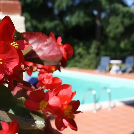 Bed & Breakfast Il Querceto Bosco (Umbria)