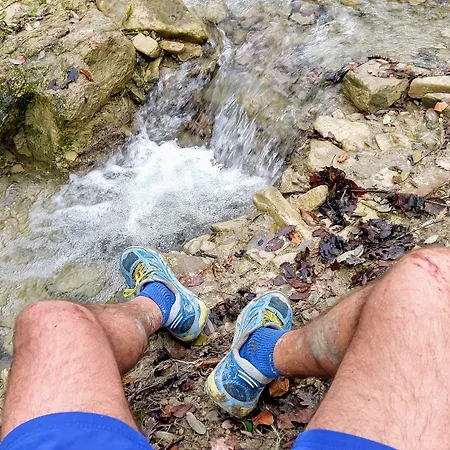 Il Querceto Bed & Breakfast