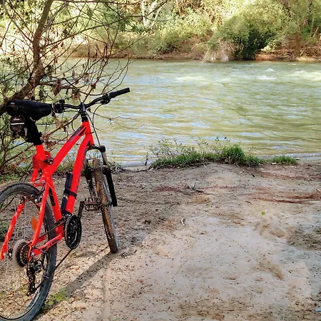 Il Querceto Bosco (Umbria)
