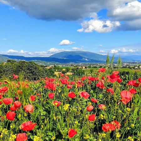Bed and breakfast Il Querceto Bosco (Umbria)