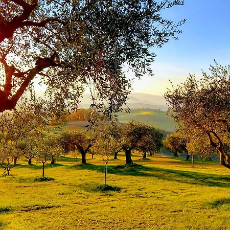 Il Querceto Bed & Breakfast 4*