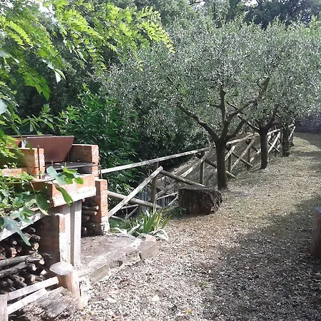 Il Querceto Bed & Breakfast 2*