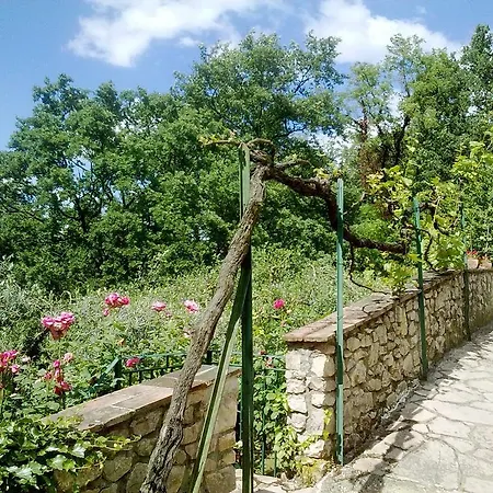 Couette-café Il Querceto Bosco (Umbria)