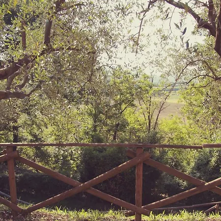 Il Querceto Bed & Breakfast