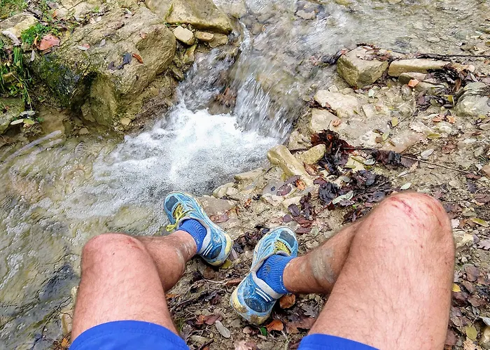 Il Querceto Bed & Breakfast