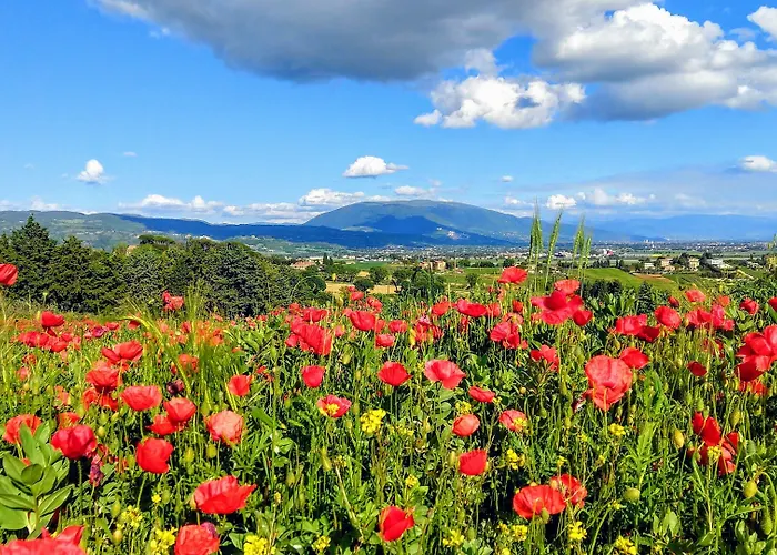 Bed & Breakfast Il Querceto Bosco (Umbria)