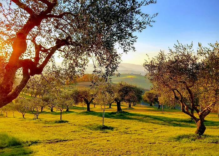 Il Querceto Bed & Breakfast 4*