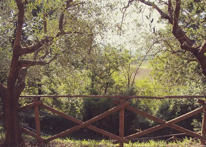 Il Querceto Bed & Breakfast